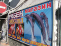 PICT0057.png
